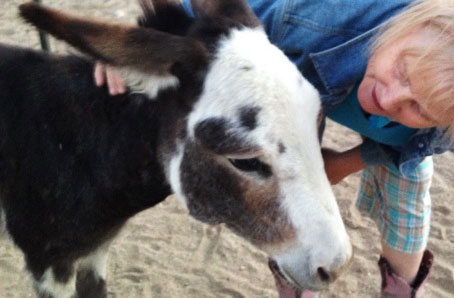 Ranch animals at Denim n Dirt Ranch