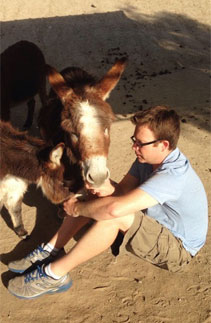 Ranch animals at Denim n Dirt Ranch