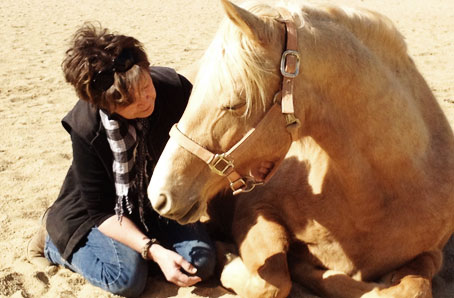 Ranch animals at Denim n Dirt Ranch