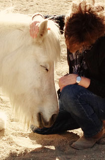 Ranch animals at Denim n Dirt Ranch