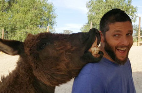 Ranch animals at Denim n Dirt Ranch