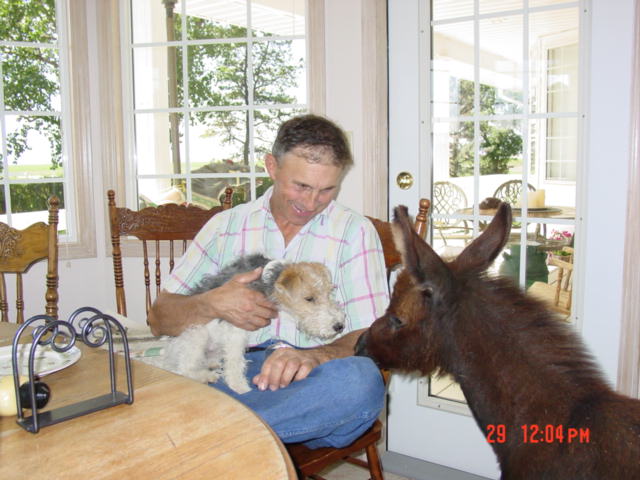Ranch animals at Denim n Dirt Ranch