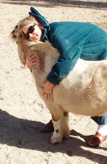 Ranch animals at Denim n Dirt Ranch