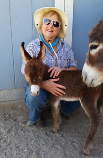Ranch animals at Denim n Dirt Ranch