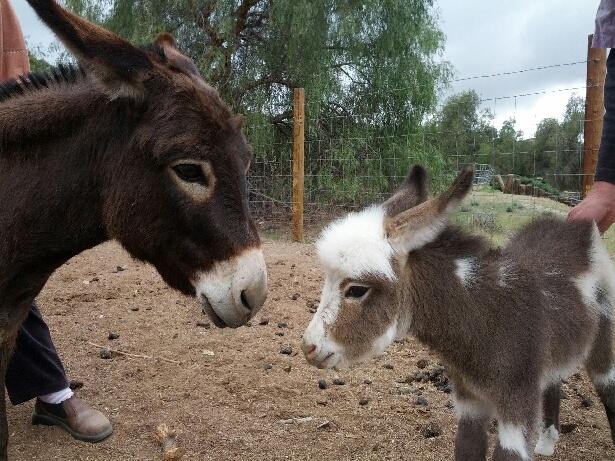 Mother and Son Talk!