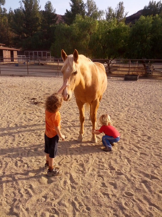 Bohdi, Lev and Sparkle leg